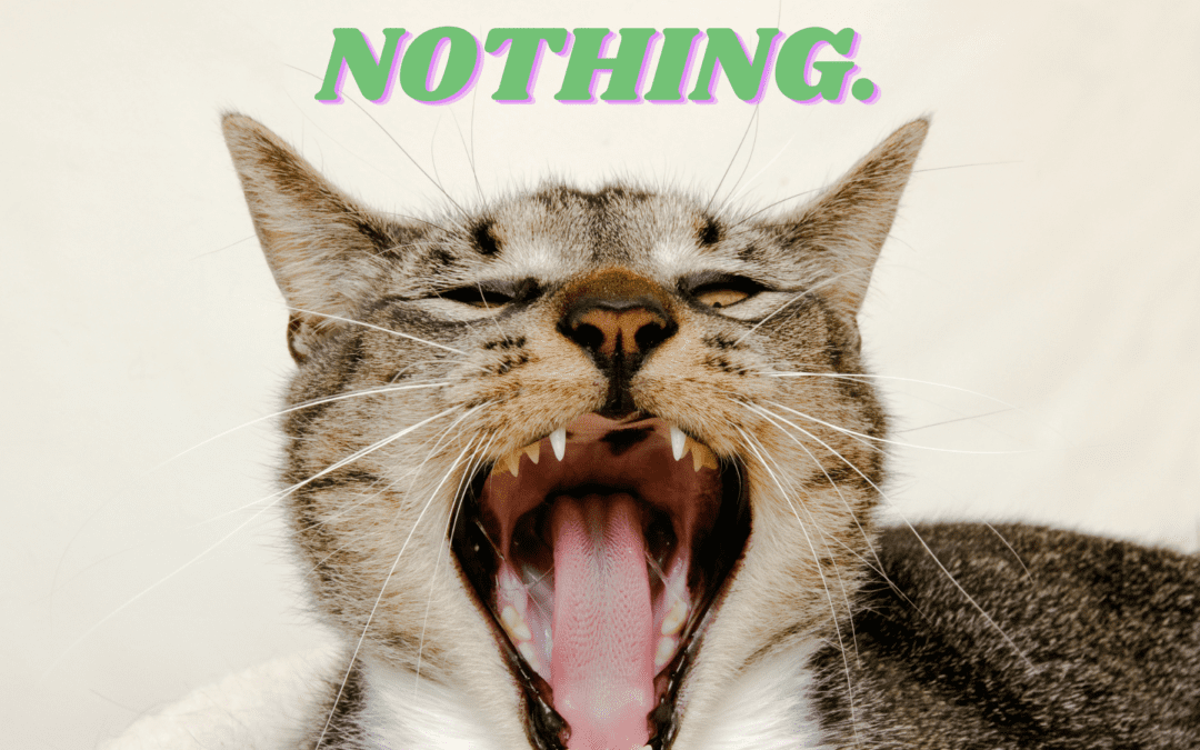 cat yelling "absolutely nothing"