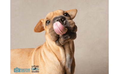 Why This Question from Pet Owners Breaks My Heart