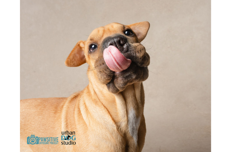 Why This Question from Pet Owners Breaks My Heart