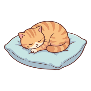 Pet End Of Life Care